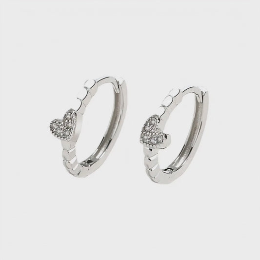 92.5 Sterling Silver Disco Dil Earrings